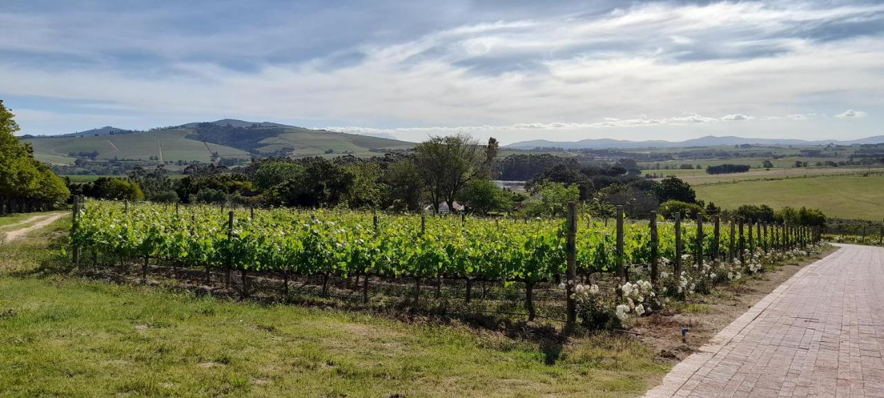 Deux Freres Wine Estate & Luxury Villas Stellenbosch Exterior foto